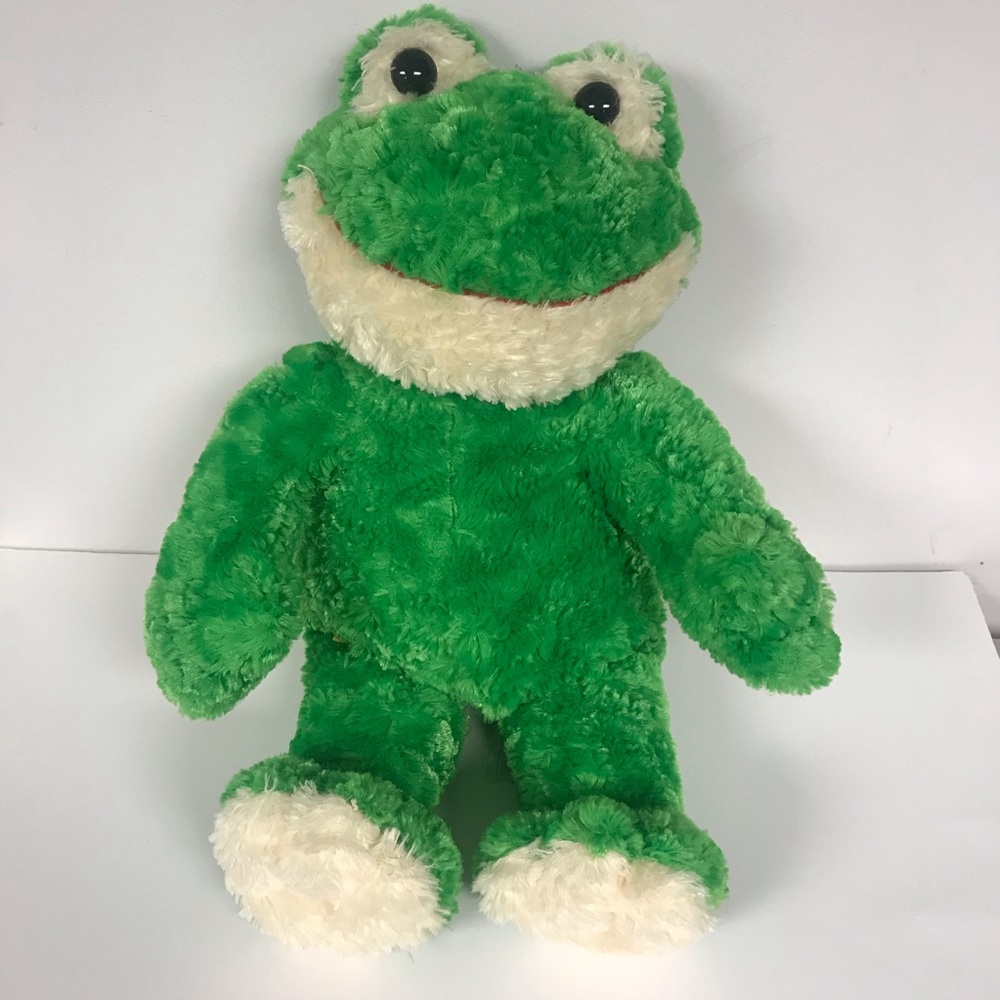 EUC BUILD-A-BEAR FROG. LIKE NEW!